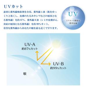 コンタクトレンズ 1day ワンデープログレス...の詳細画像3