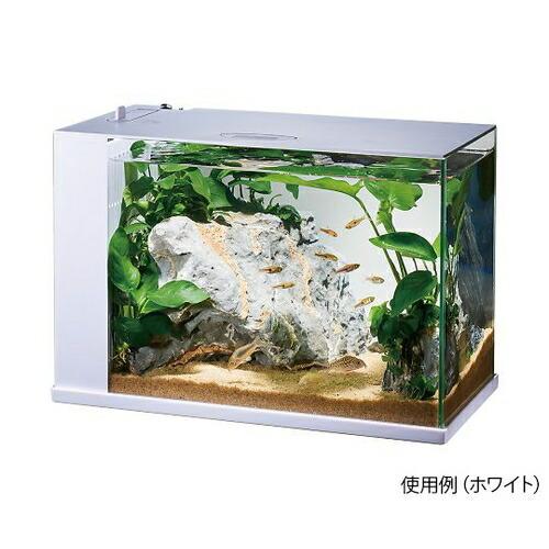 ジェックス LED＆フィルター付オールインワン水槽セット　ラクテリア　ブラック  1セット