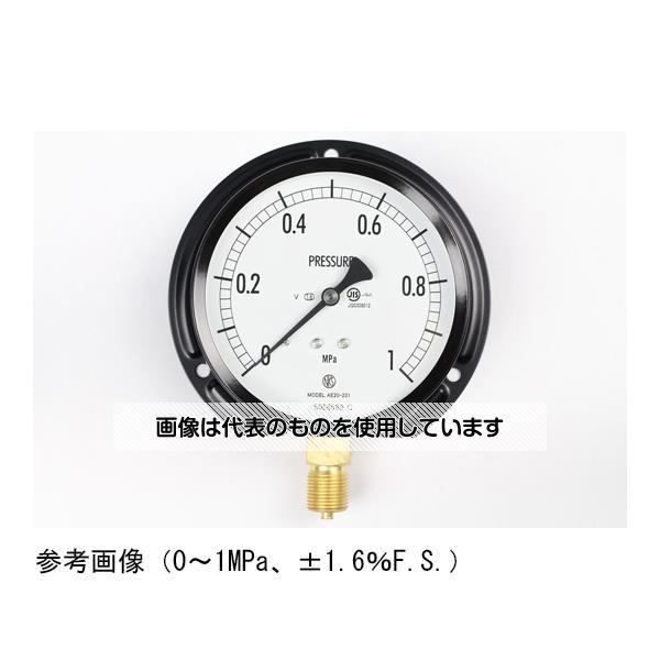 長野計器 普通形圧力計(Φ100) 立形B枠 耐振用 25MPa AE20-231 入数：1個 
