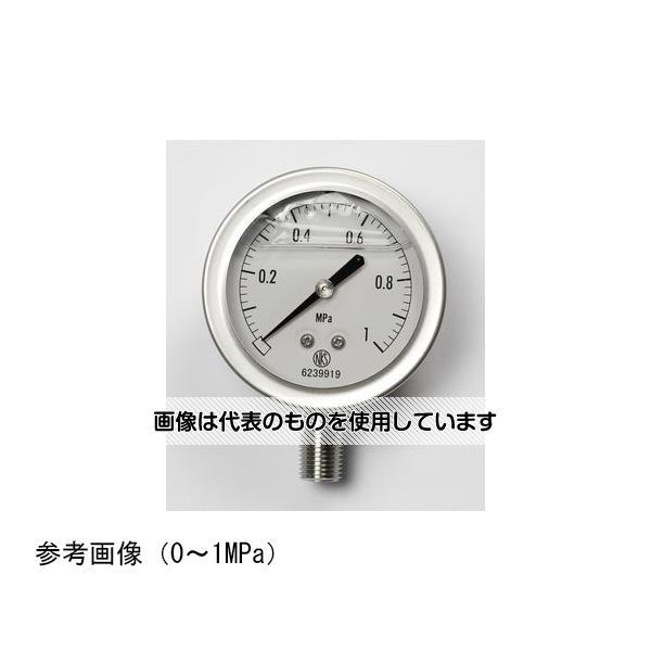 長野計器  グリセリン入圧力計(60Φ) 25MPa GV50-173 入数：1個