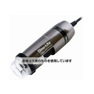 ANMO  DINO-LITEEDGES(LWD)DINOAM7915MZTL 1975-01-0001630 入数：1個