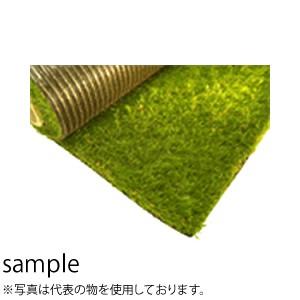 グリーンフィールド リアリーターフ 1M×10M ロング 40mm RET40FR-1-10K 人工芝 [法人限定]