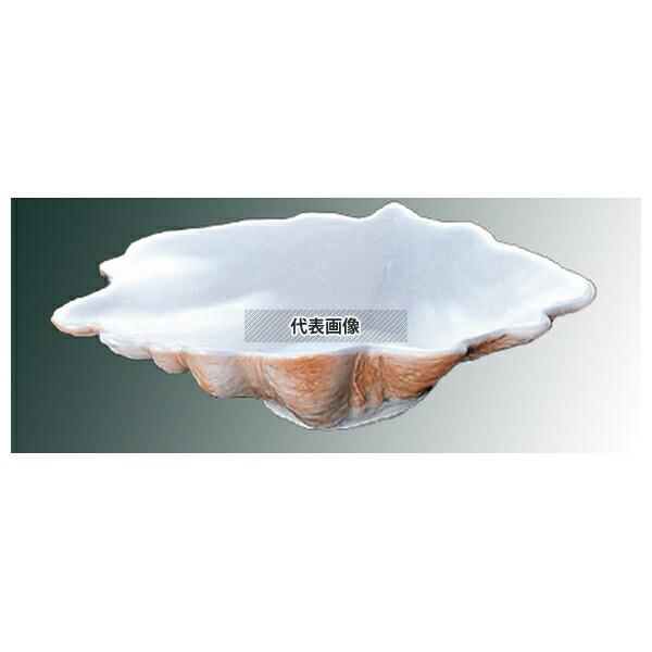 ロイヤル ROYALE(ロイヤル) トロピカルシェル 深型 No.180 33cm カラー 330×...