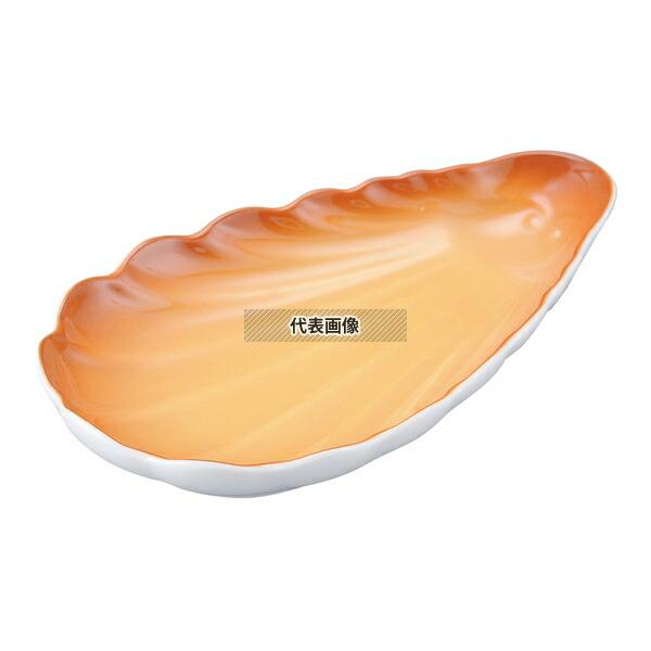 SCHOWLD(シェーンバルド) スカロップシェル (細長) 9026109 茶 170×100mm...