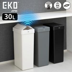 EKO JAPAN エックスウィングライトセンサ...の商品画像