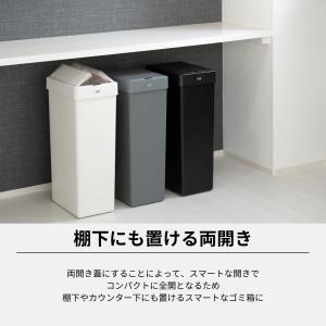 EKO JAPAN エックスウィングライトセン...の詳細画像4