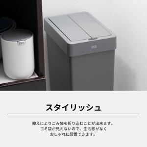 EKO JAPAN エックスウィングライトセン...の詳細画像5