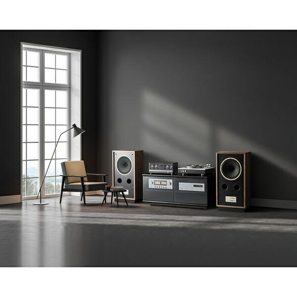 ハヤミ工産(HAMILex) B-2323 オーディオラック 横2連 幅1152mm ホームシアター...