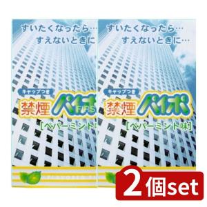【2個セット】マルマン 禁煙パイポペパーミント [単品内容量/3本]