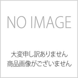 リョービ(京セラ) エアケレン用ブルポイント AE25510 300mm