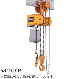 キトー(KITO)　電気チェーンブロック　1.5t用　6M　ER2SG015IS-6　2速インバータ...