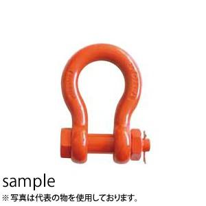 大洋製器 スーパーアロイシャックル ボルト・ナット止めタイプ TB-2.5 (1010341) 使用...