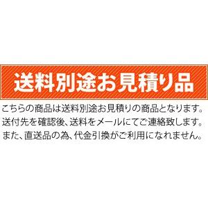 トンボ工業 ミキサー NGM 2.5BCM4 ...の詳細画像1