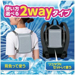 アイスノン ひんやり氷結背中クーラー 背中冷却...の詳細画像5