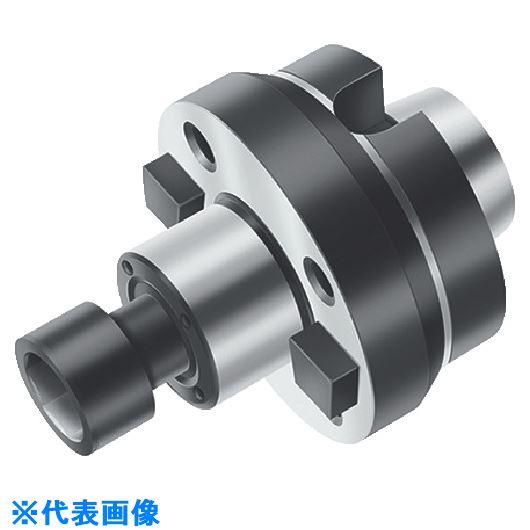 ■Walter フェースミルアダプター AK155M.0.80.030.32(8260582)[送料...