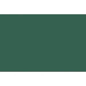 つくし工房 安全標識 B-10T 撮影用黒板 緑無地 300×450mm ベニア(ついたて付)