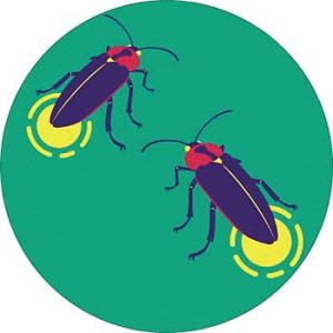 つくし工房 安全標識 KS-133 『こんちゅう2/丸型』 たのし〜る(グリーンフィールドシリーズ)...