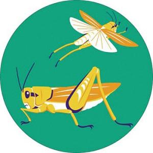 つくし工房 安全標識 KS-134 『こんちゅう2/丸型』 たのし〜る(グリーンフィールドシリーズ)...