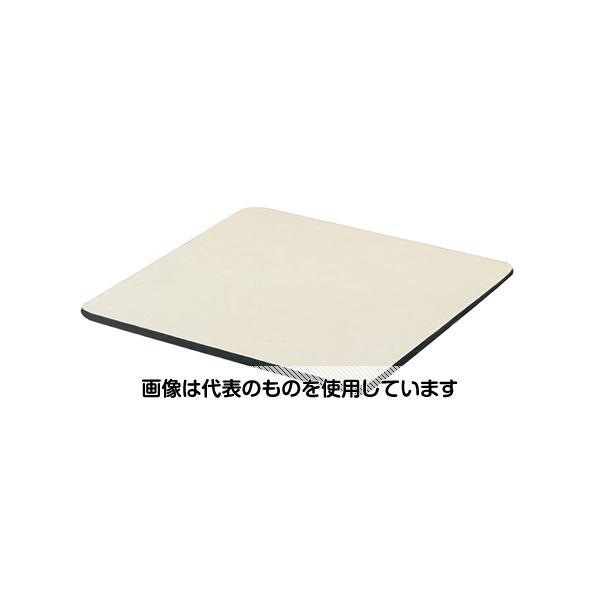 アズワン T9CSS-X ケミサーフ製作業天板(ラボドラフトZS-900用・給排水なし用) 880×...