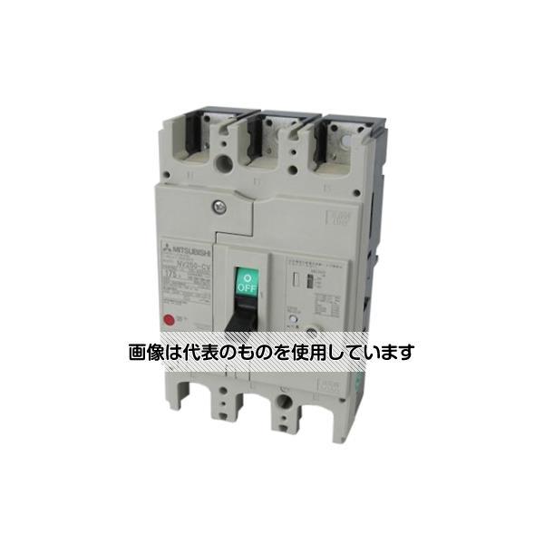 アズワン(AS ONE) 漏電遮断器 NV-Cシリーズ(経済品) NV250-CV 3P 175A ...