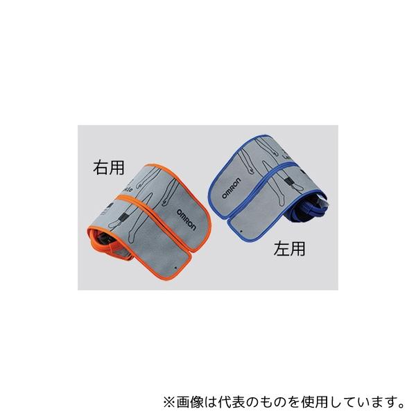 オムロン(ヘルスケア) HXV-CFLM1 HBP-8000 アンクルカフ 左用 M