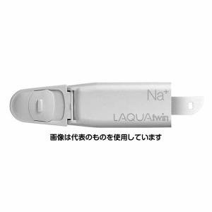 HORIBA  LAQUAtwin用 ナトリウムセンサ S022 入数：1式｜firstnet