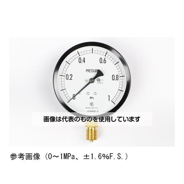 長野計器  普通形圧力計(Φ100) 立形A枠 25MPa AE20-131 入数：1個