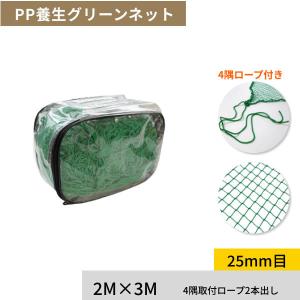PE養生ネット 2m×3m ポリエチレン 25mm目 万能ネット 園芸ネット