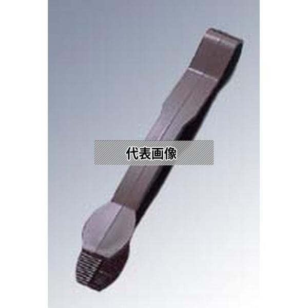 CAMBRO(キャンブロ) トング フラットグリップ TG12 (195) レディッシュ/B 305...