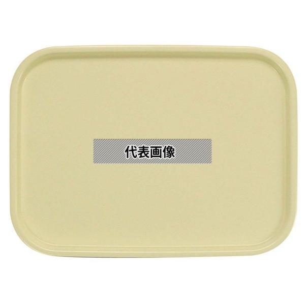 橋本達之助工芸 カラーコレクショントレー L ベージュ 420×310×H18mm  No.1107...