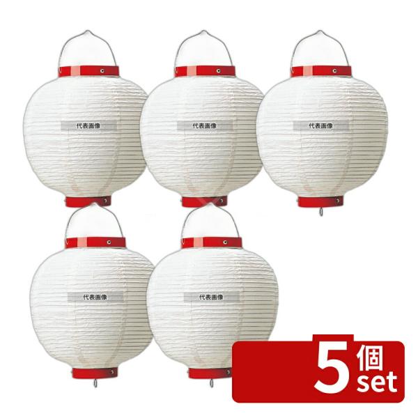 【5個セット】丸 ビニール提灯 無地 9号 白 φ240×H350 φ240×H350(つるの先から...