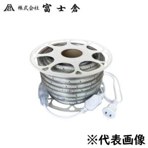 富士倉 PRO仕様 HIGH POWER 25W充電式投光器 SVB-25W : ファースト