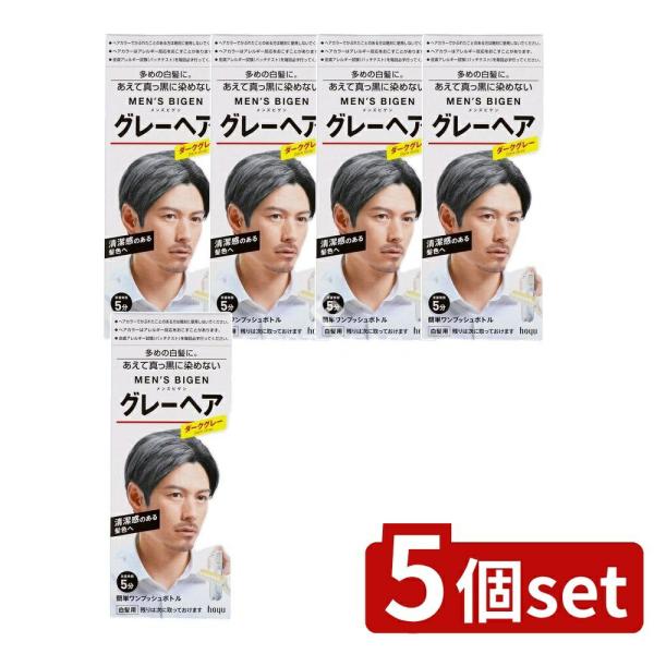 【5個セット】ホーユー メンズビゲン グレーヘア ダークグレー [単品内容量/80g]