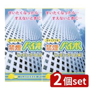 【2個セット】マルマン 禁煙パイポ レモンライム [単品内容量/3本]