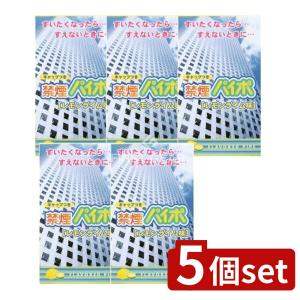 【5個セット】マルマン 禁煙パイポ レモンライム...の商品画像
