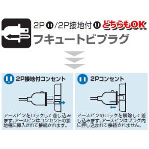 ハタヤ(HATAYA) BFX ブレーカー付 ...の詳細画像1