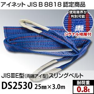アイネット　両端アイ型スリングベルト　DS2530　規格　25mm×3.0m　(JIS-3E型)　耐...