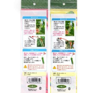 フォレスト きゅうり 型どりケース [ハート/...の詳細画像2