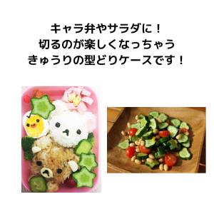 フォレスト きゅうり 型どりケース [ハート/...の詳細画像4