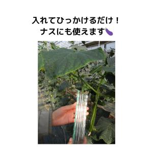 フォレスト きゅうり 型どりケース [ハート/...の詳細画像5