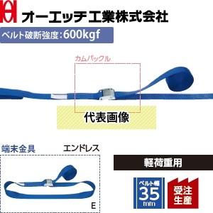 OH(オーエッチ工業) 荷締機 ラッシングベルト LBB132 E50 カムバックル 端末金具：エン...