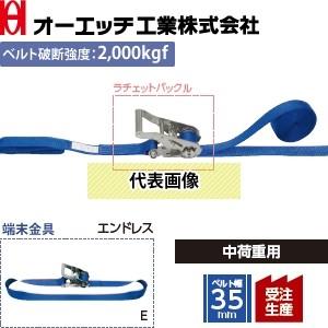 OH(オーエッチ工業) 荷締機 ラッシングベルト LSR300 E50 ステンレス製ラチェットバック...