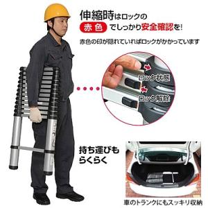 ピカ(Pica) アルミ製伸縮はしご PTH-...の詳細画像1