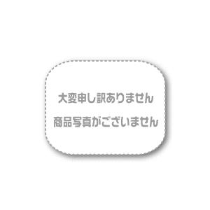 サイン 32mmX118mmX2mm エンビ赤、白 DL1〜6の中板(DLWR)