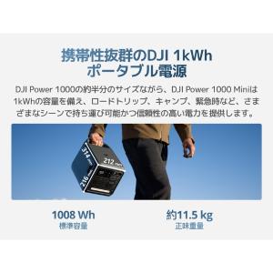 DJI Power 1000 Mini Plu...の詳細画像1