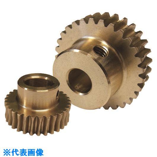 ■KHK ウォームホイールAG2−30R2J16 AG230R2J16(2101049)[送料別途お...