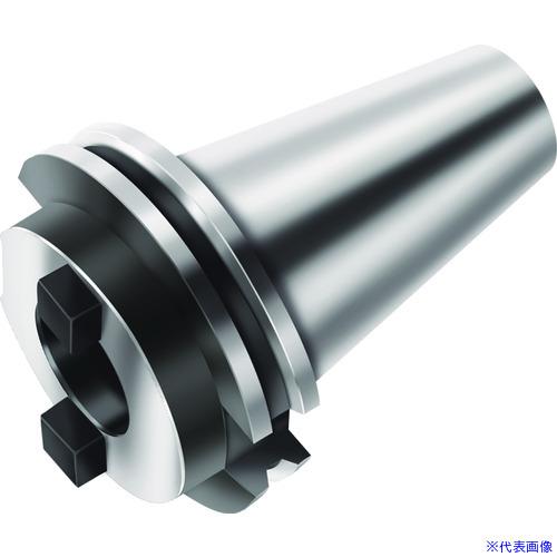 ■Walter マスターアダプター AK100M.2.50.060.80(2282723)[送料別途...