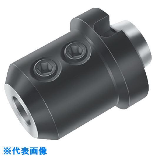 ■Walter コンビネーションアダプター A170M.0.80.095.40(8260515)[送...