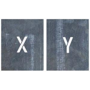 つくし工房 安全標識 J-93B 『X/Y』 吹付プレート X・Yプレート(2枚1組) 文字サイズ1...