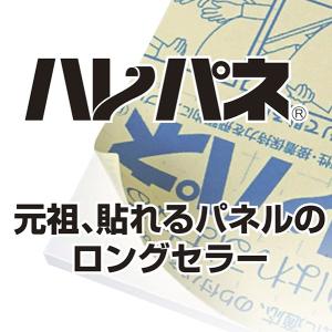 プラチナ萬年筆 AA3-5 ハレパネ AA3-...の詳細画像2